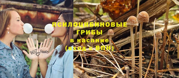 винт Алексин