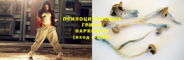 тгк Алексеевка