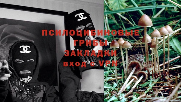 винт Алексин