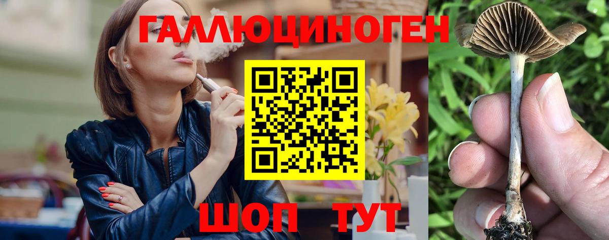 Галлюциногенные грибы мухоморы Богородск